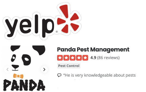 Panda Pest Yelp Review New